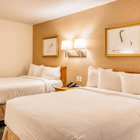 Motel Mistral Rouyn-Noranda Exterior photo